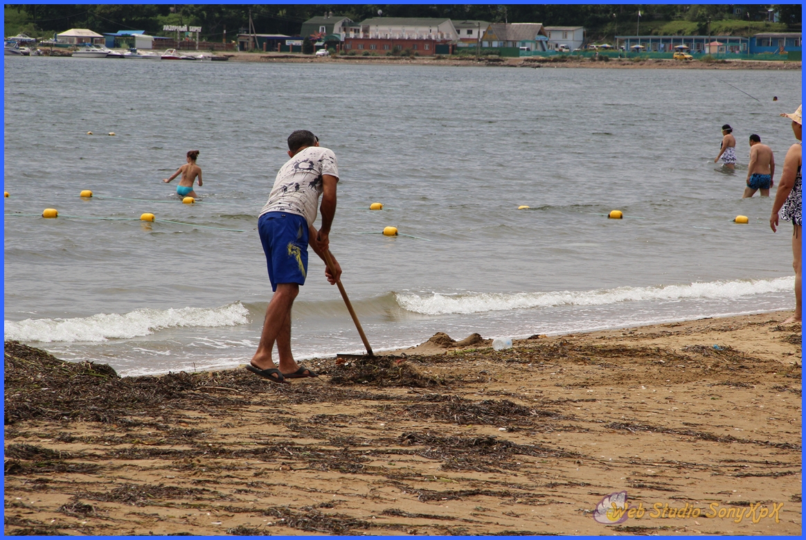 Благородное занятие - очищать вовремя пляж